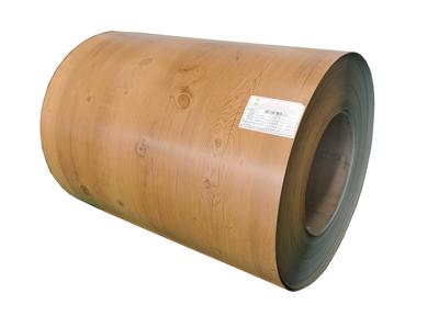 Taille des feuilles enduites de couleur